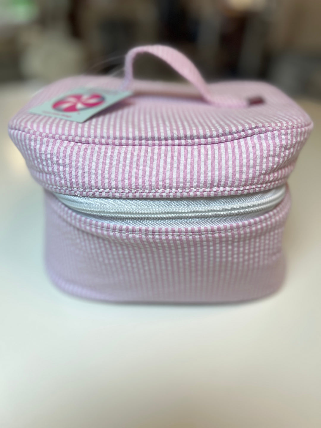 Pink Seersucker "Train Case"